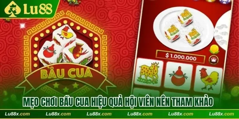 “Bỏ túi” một vài mẹo cược hiệu quả, tiền về đầy túi 