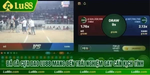 Đá gà cựa dao Lu88